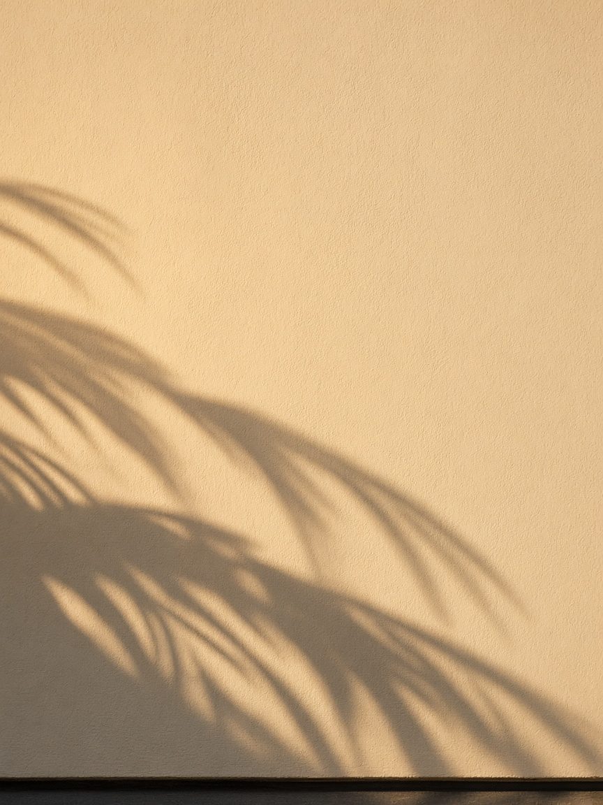 Palm shadows on a warm stucco wall at golden hour